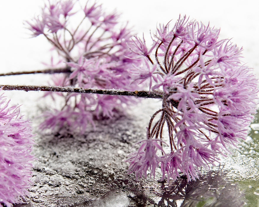 Kaemingk Allium Spray On Stem 3 Flowers Lilac