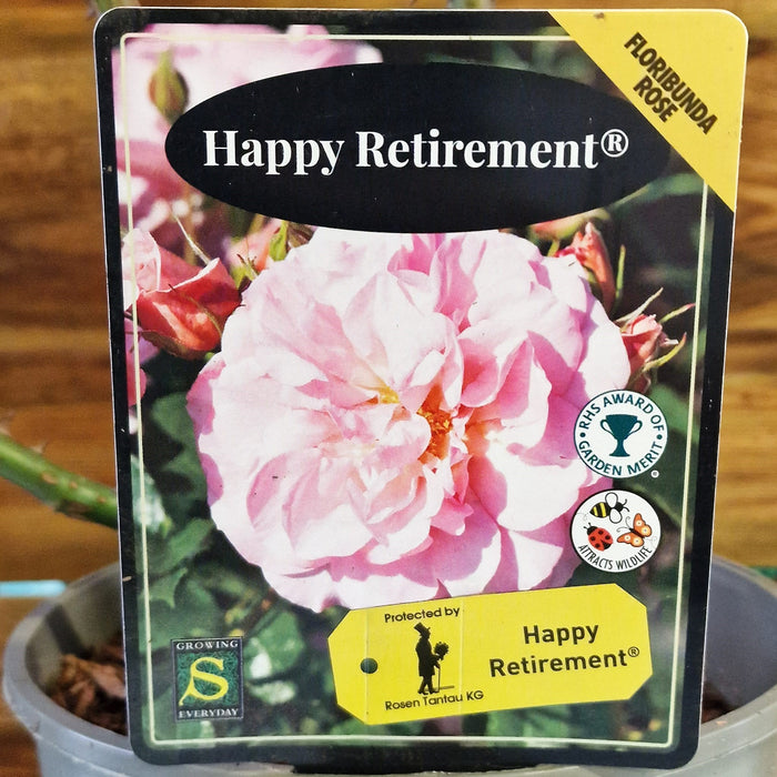 ROSE Happy Retirement - Celebration 3ltr