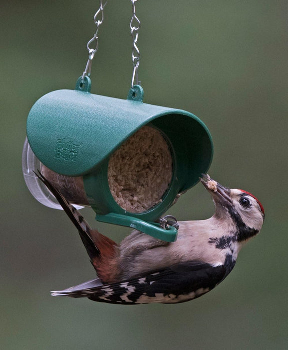 Flutter Butter Feeder