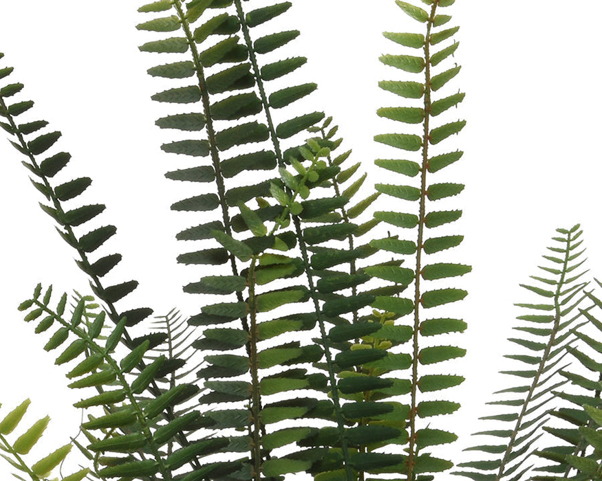 Kaemingk Fern In Pot