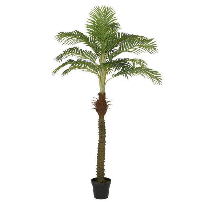 Kaemingk Palmtree In Plastic Pot