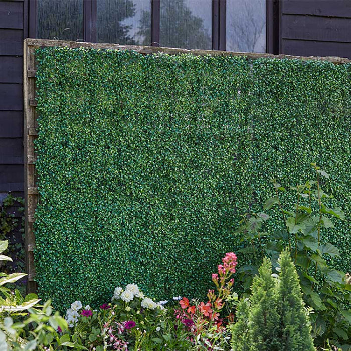 Smart Garden Boxwood Screen Panel 60 x 40 cm