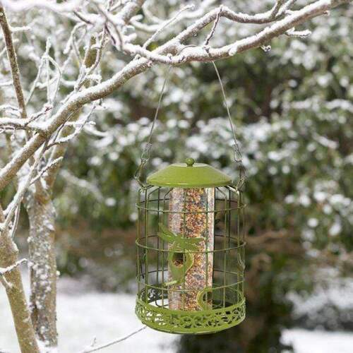 Chapelwood Decor Squirrel Proof Seed Feeder