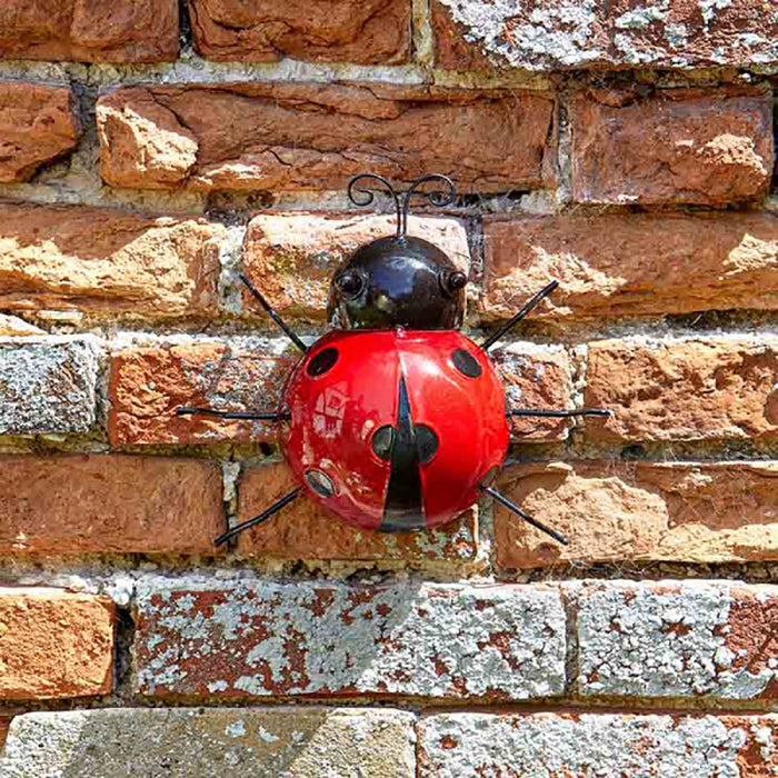 Smart Garden Ladybird - Large