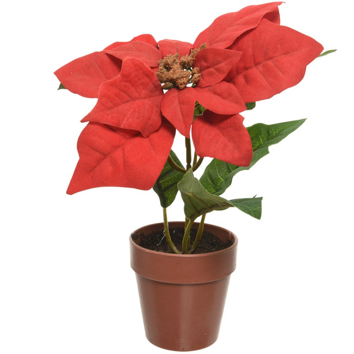 Kaemingk Poinsettia Plant In Pot (20cm)