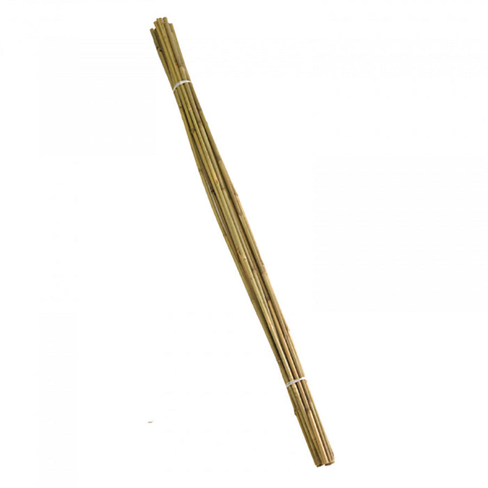 SmartGarden Bamboo Canes - Extra Thick 180 cm bundle of 10 ***