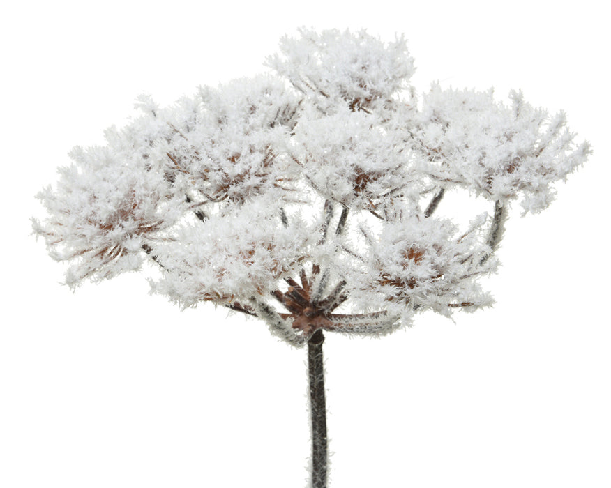 Kaemingk Hogweed Stem Frosted White