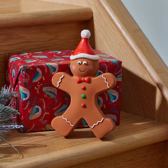 Smart Garden Latex Gingerbread Man