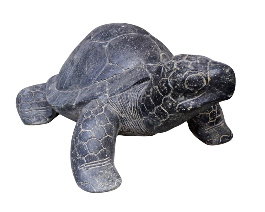 Turtle 60cm