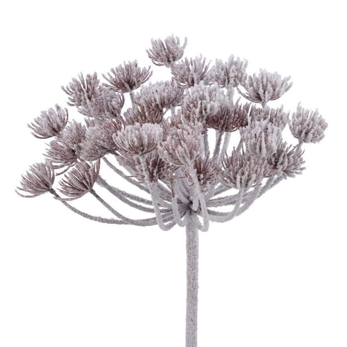 KMG Hogweed On Stem with Snow Finish - White Frost