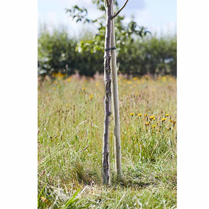 SmartGarden Round Softwood Tree Stakes 150 cm **