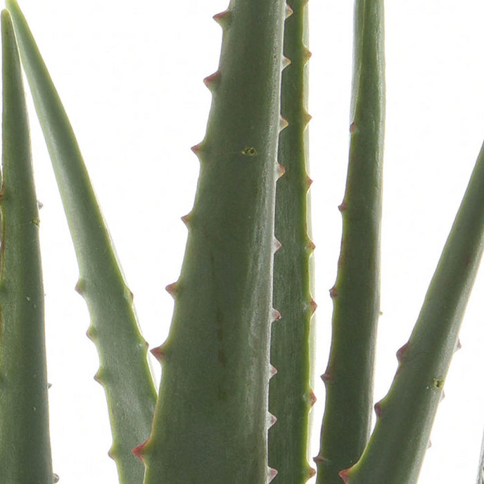 Kaemingk Aloe Vera In Pot