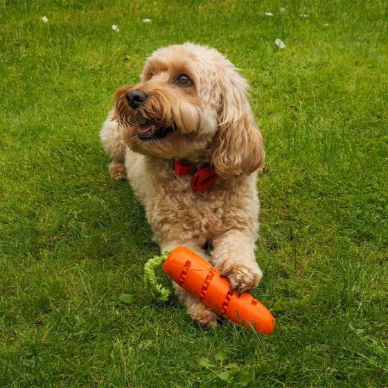 Smart Garden Carrot Treat Dispenser