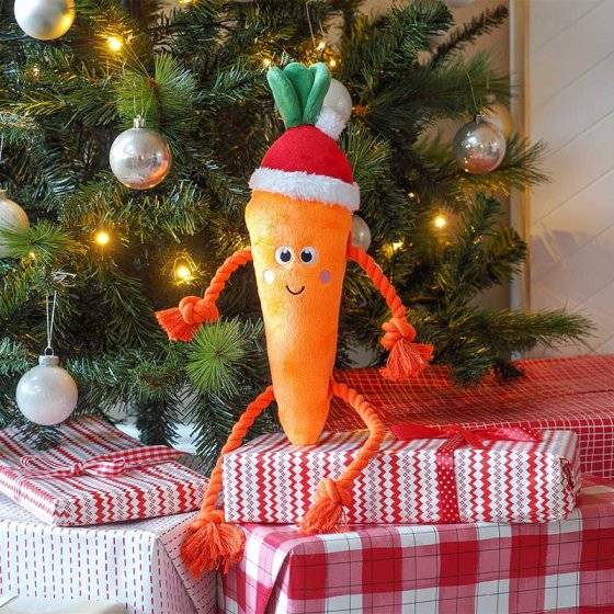 Smart Garden Santa Carrot Rope-Legs