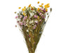 Kaemingk-Bouquet-Mix-On-Stem-Dried-Flower
