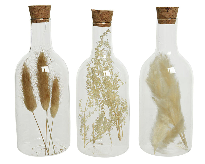 Kaemingk-Dried-Flowers-In-Glass-Bottle-3-Assorted-Styles-H17Cm