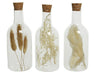 Kaemingk-Dried-Flowers-In-Glass-Bottle-3-Assorted-Styles-H17Cm